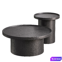 Allset Coffee Tables 3D Model Vray, Corona
