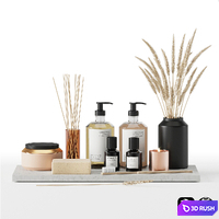 Bathroom accessories set 01 3D Model Vray, Corona
