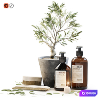 Tiny bonsai olive tree in stone pot with decor set for bathroom 3D Model Corona