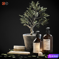 Tiny bonsai olive tree in stone pot with decor set for bathroom 3D Model Corona