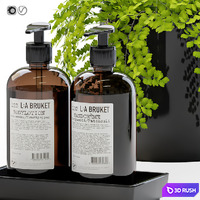 Maidenhair ferns, adiantum tenerum, capillus veneris with decor set for bathroom 3D Model Vray, Corona