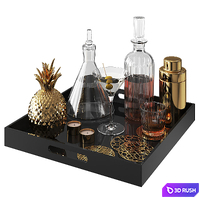 Home Bar Tray 3D Model Vray, Corona