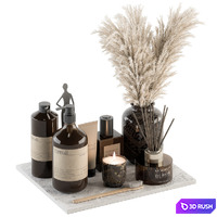 Bathroom accessory Set with Dried Plants Set 22 3D Model Vray, Corona