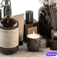 Bathroom accessory Set with Dried Plants Set 22 3D Model Vray, Corona