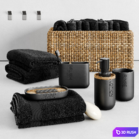 Decorative set Bathroom 3D Model Corona
