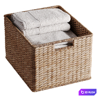 Seagrass Utility Baskets 3D Model Corona
