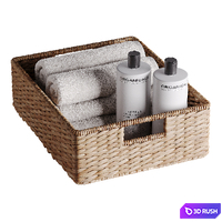 Seagrass Utility Baskets 3D Model Corona