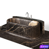 Teyo Capriccio Bathtub 3D Model Corona