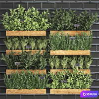 Collection of plants kitchen garden vegetable garden in wooden wall pots garden bed with black tiles apron with vegetables, rosemary, basil, lettuce, Vertical gardening. Set 37. 3D Model Vray