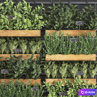 Collection of plants kitchen garden vegetable garden in wooden wall pots garden bed with black tiles apron with vegetables, rosemary, basil, lettuce, Vertical gardening. Set 37. 3D Model Vray