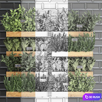 Collection of plants kitchen garden vegetable garden in wooden wall pots garden bed with black tiles apron with vegetables, rosemary, basil, lettuce, Vertical gardening. Set 37. 3D Model Vray