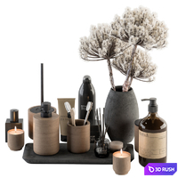 Bathroom accessory Set with Bouquet Set 19 3D Model Vray, Corona