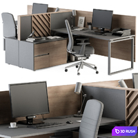 Employee Set Wood and Gray - Office Furniture 250 3D Model Vray, Corona