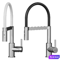 Kitchen faucet Lina Semi Pro Franke 3D Model Corona