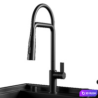 Asras Large Size Nanometer Cup Rinser Stepped Kitchen Sink 2 3D Model Vray, Corona
