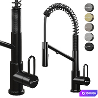 Omoikiri Mikawa 2 Plus. Kitchen Faucet 3D Model Corona