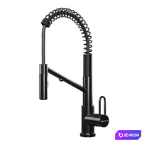 Omoikiri Mikawa 2 Plus. Kitchen Faucet 3D Model Corona