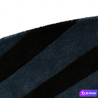 Carpet SOL Y SOMBRA by Roche Bobois 3D Model Vray