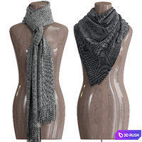 Shawl over the body 3 3D Model Vray