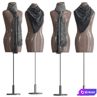 Shawl over the body 3 3D Model Vray