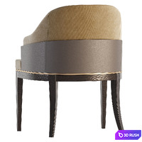Wolfe dining chair by ASTER 3D Model Vray, Corona