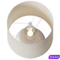 Surya Vogel 3D Model Vray, Corona