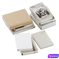Set of beige and white design and art books vol3 3D Model Corona