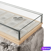 Jewelry display case 3D Model Corona