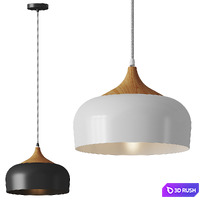 Tomons - LP02002 Pendant 3D Model Vray, Corona
