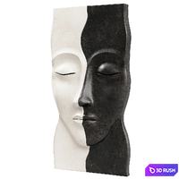 Panel Black and white halves of the Face 3D Model Corona