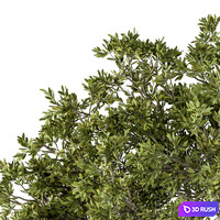 Urban Furniture / Parametric Bench with Plants- Set 21 3D Model Vray, Corona