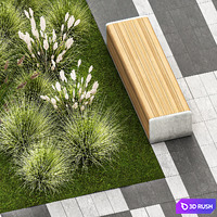 Plants for the urban environment with paving slabs, bench, bench, pampas grass bushes, Cortaderia. 1151. 3D Model Vray