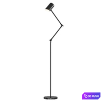 Floor lamp Ray Divan.ru 3D Model Corona