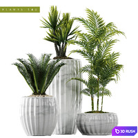 PLANTS 140 3D Model Vray