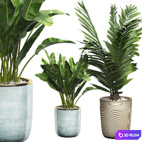 INTERIOR FLOWER PACK 10 - Window placing plants 3D Model Vray