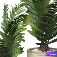 INTERIOR FLOWER PACK 10 - Window placing plants 3D Model Vray