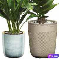INTERIOR FLOWER PACK 10 - Window placing plants 3D Model Vray