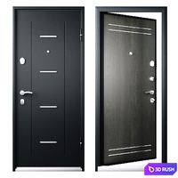 Entrance door DELTA-M 10 from TOREX 860x2030 3D Model Corona