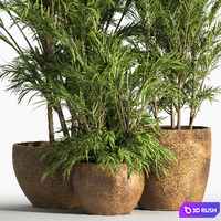 Indoor_Plant_Set_30 3D Model Vray, Corona