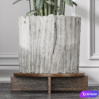 Calathea Oppenheimiana - Pflanzen Karl House Plant 3D Model Vray, Corona
