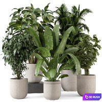 Indoor Plants in rusty Concrete Pot - Set 887 3D Model Vray, Corona