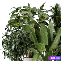 Indoor Plants in rusty Concrete Pot - Set 887 3D Model Vray, Corona