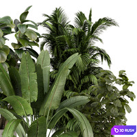 Indoor Plants in rusty Concrete Pot - Set 887 3D Model Vray, Corona