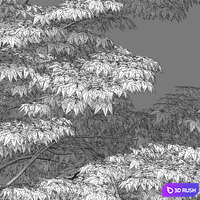 Acer palmatum - Japanese maple 04 3D Model Vray