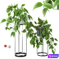 Indoor hanging plants series-3 3D Model Vray, Corona