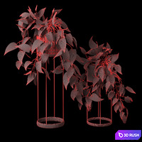 Indoor hanging plants series-3 3D Model Vray, Corona