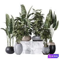 ParadiseBird and Rhapis Excelsa Lady Palm Vase 16 3D Model Vray, Corona