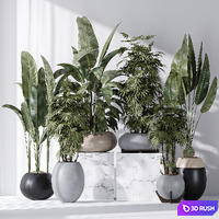 ParadiseBird and Rhapis Excelsa Lady Palm Vase 16 3D Model Vray, Corona