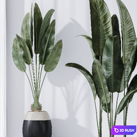 ParadiseBird and Rhapis Excelsa Lady Palm Vase 16 3D Model Vray, Corona
