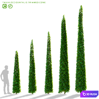 Thuja occidentalis clipped cone | Thuja occidentalis 3D Model Vray, Corona